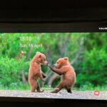 Review #66: 6 months with Samsung Galaxy Tab S5e ★★★★★