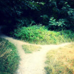 Poetry #1: I bid you all adieu
