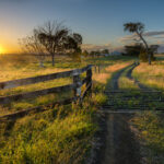 Poetry #10: Long road to change